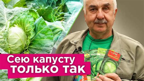 Важные нюансы при работе без лицензии