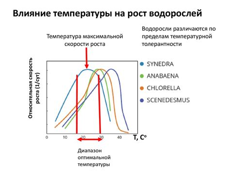 Влияние температуры на экономические параметры