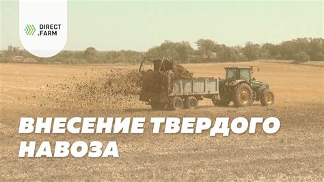 Выбор контейнера и инструментов для загрузки твердого навоза