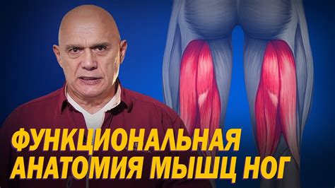 Высокая активность мышц ног
