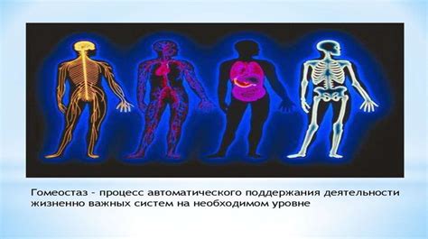 Заболевания и особенности организма
