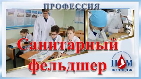 Значение профессии санитарного инструктора