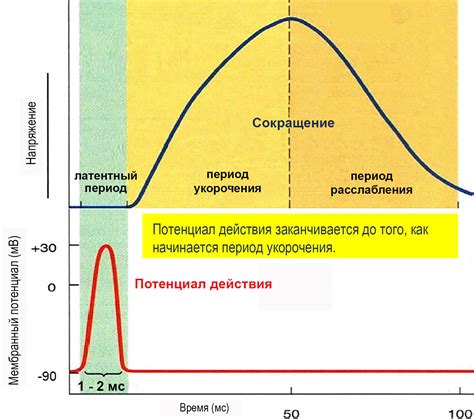 Значение сокращений
