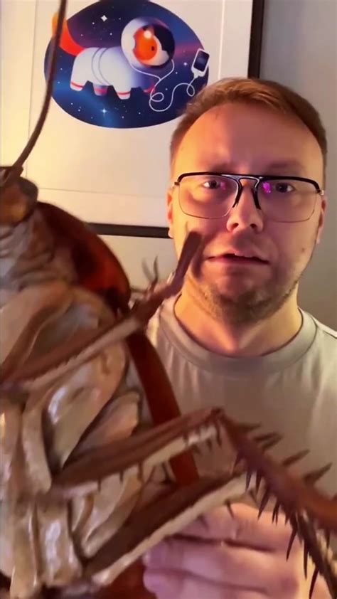Как избавиться от бетилидов в квартире
