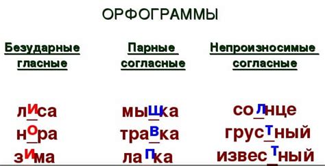 Как правильно распознать орфограмму
