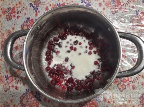 Как приготовить компот из замороженной калины