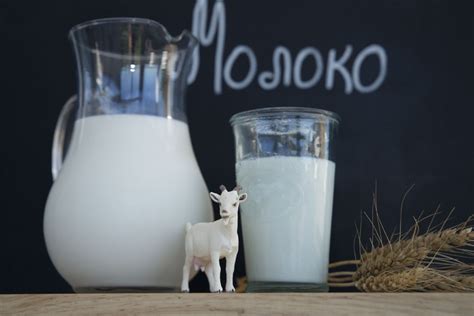 Козье молоко для крольчат