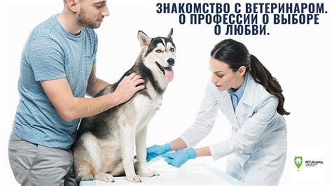 Контакт с ветеринаром