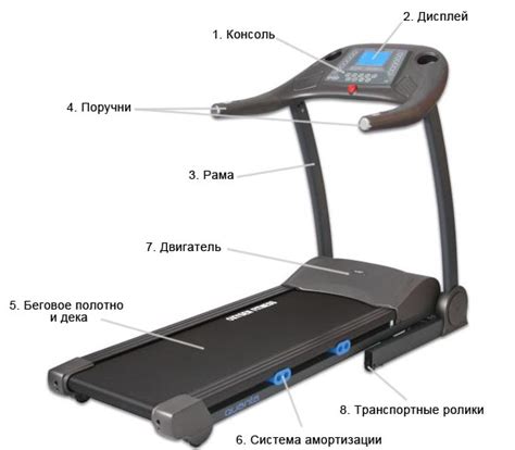 Маркировка беговой дорожки