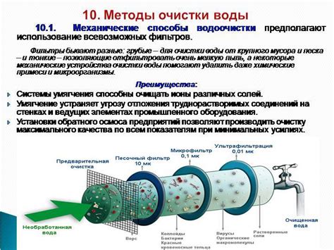 Методы эффективной очистки клюквы