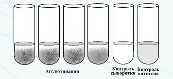 Метод прямой агглютинации
