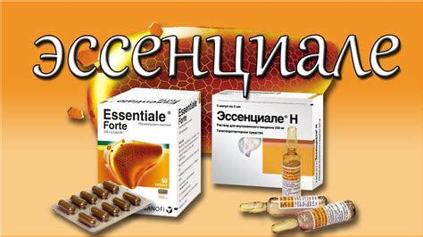 Механизм действия препарата Эссенциале Форте Н