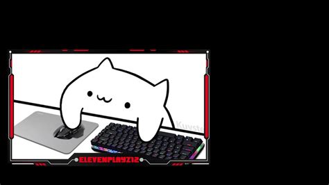 Настройка bongo cat cam