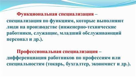 Области деятельности и специализация