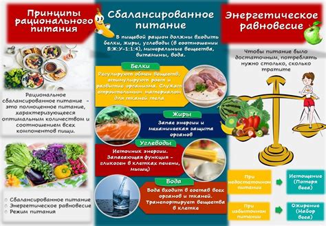 Общие требования к питанию