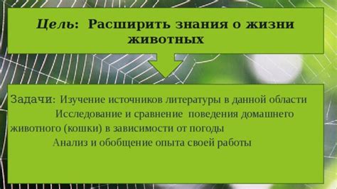 Особенности работы в зависимости от погоды