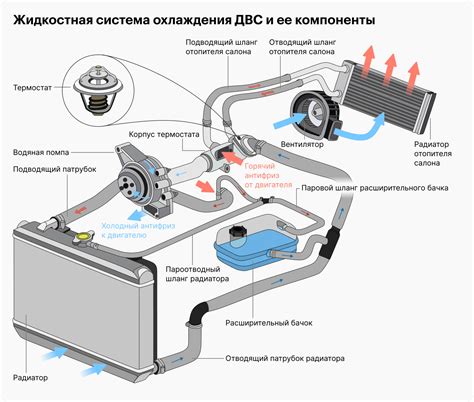 Отведи достаточное время для охлаждения