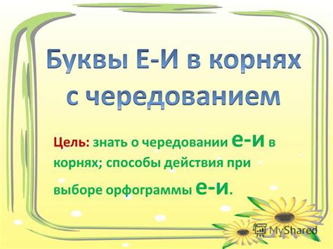 Ошибки при выборе орфограммы