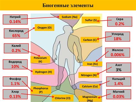 Питательные вещества в перегнившем зерне