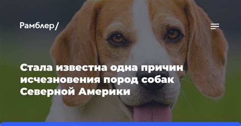 Поиск причин исчезновения