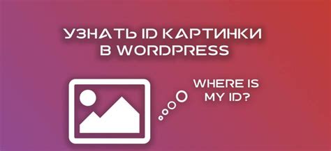 Поиск ID фотографии