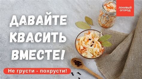 Полезные советы: как сохранить витамины при варке капусты в автоклаве