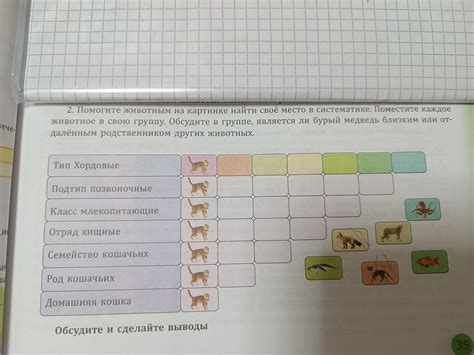 Поместите фильтр в отведенное место