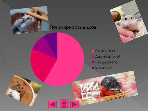 Популярность видов