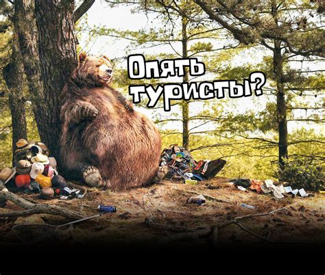 Правильное поведение при встрече с медведем в лесу