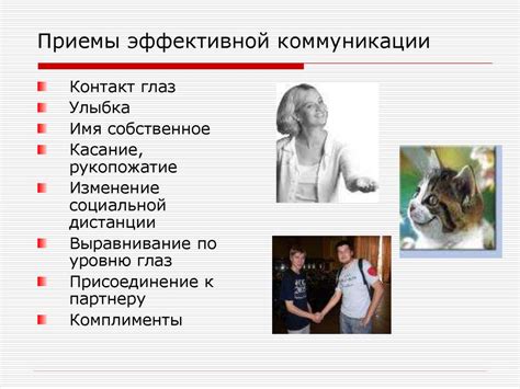 Предпочтения в соседях и другие идеи для комфортной поездки