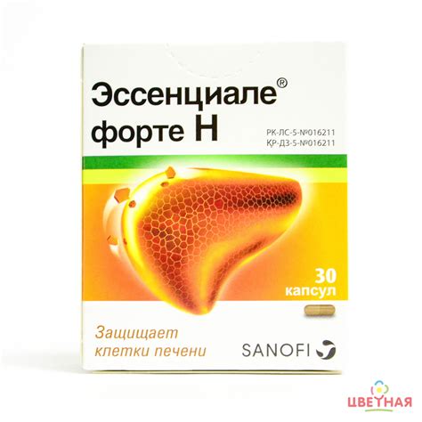 Принцип работы препарата Эссенциале Форте Н