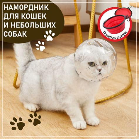 Проверка надежности и комфорта намордника для коровы