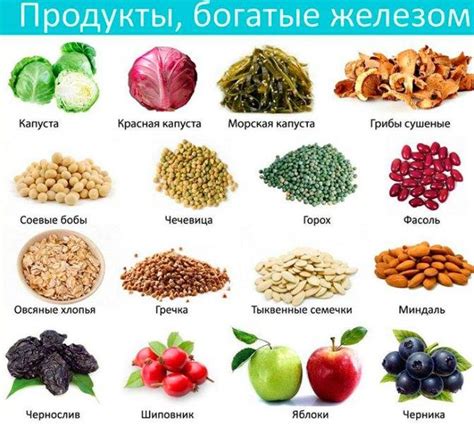 Продукты, богатые силимарином: список и описание