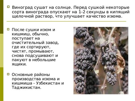 Промывание изюма перед сушкой