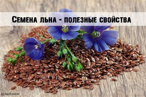 Рекомендации по выбору лучших марок семян льна