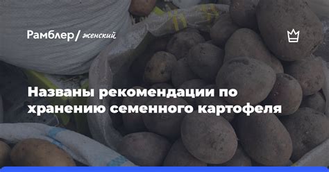 Рекомендации по хранению травы