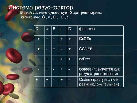 Роль антител в определении группы крови