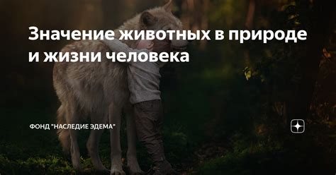 Роль животных в стихотворении