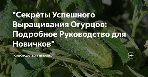 Секреты успешного спасения