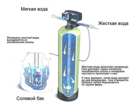 Способы смягчения листьев