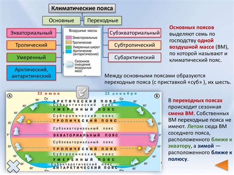 Сравнение натурального пояса с синтетическим