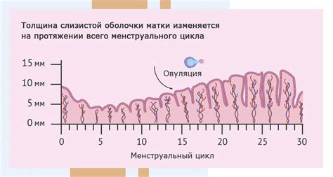 Толщина 6 мм: причины