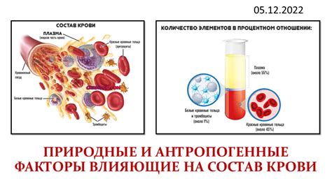 Факторы, влияющие на состав крови