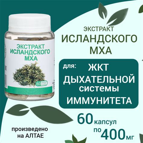 Чем отличается ирландский мха от исландского мха