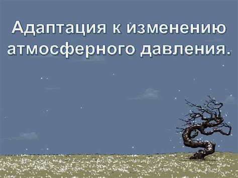 Адаптация организма к изменению окружающей среды