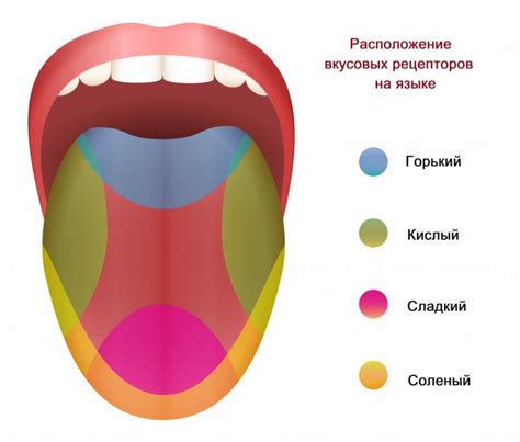 Активация вкусовых рецепторов после укола комбилипена