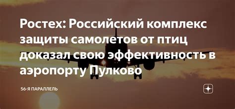 Альтернативные методы защиты птиц: эффективность и вред