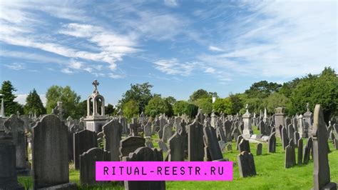 Альтернативные растения для кладбища