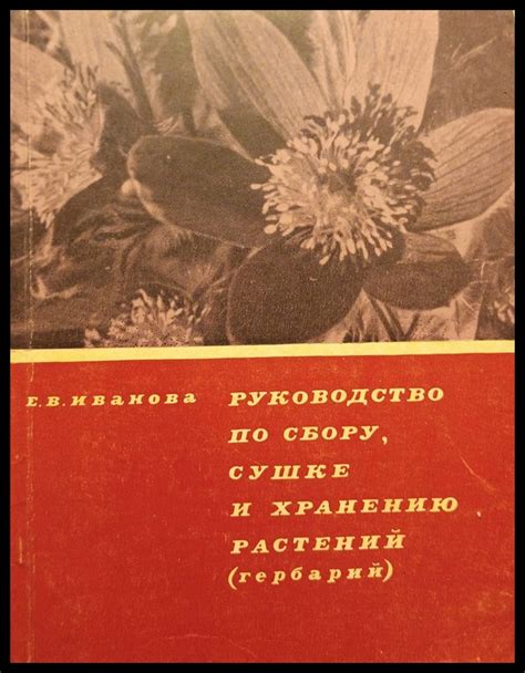 Альтернативы сушке