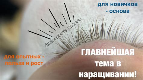Без присыпки никуда